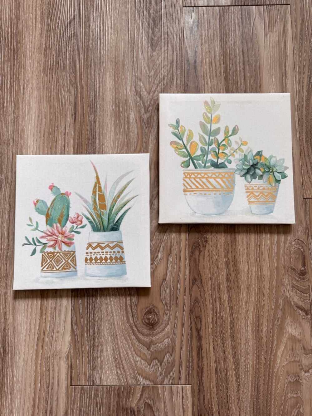 Succulent Plant Art Set - Picture 2 of 13